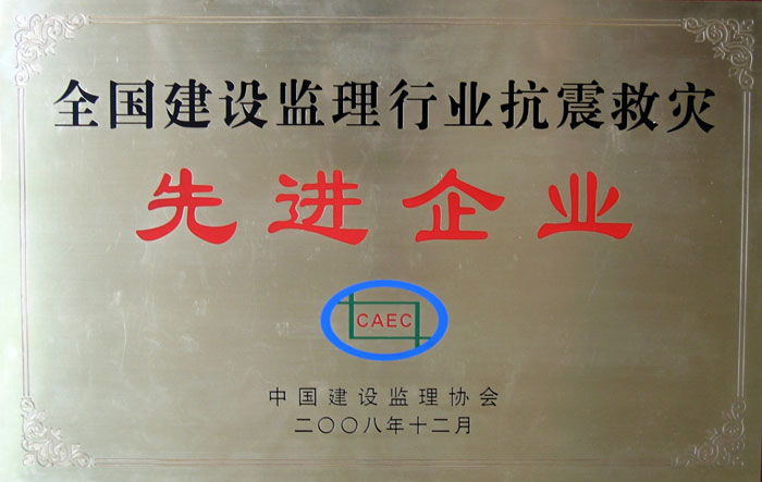 6.抗震救災(zāi)先進(jìn)企業(yè)牌（國）-.jpg